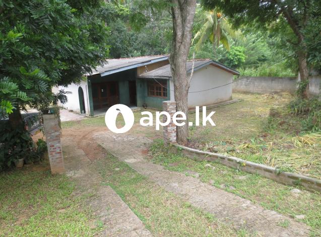 Residential Land Sale In Balagolla, Kandy